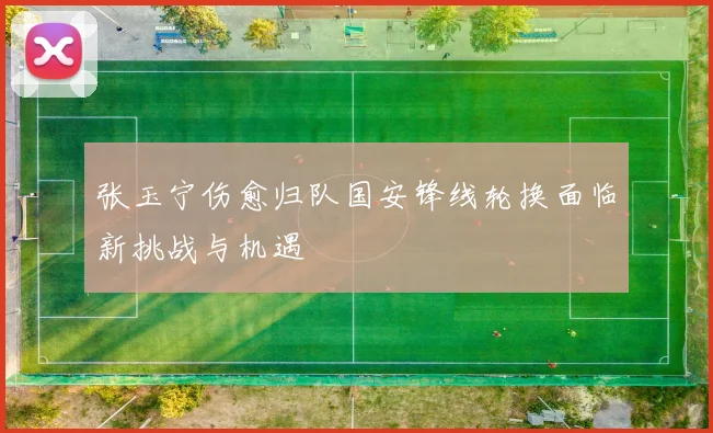 张玉宁伤愈归队国安锋线轮换面临新挑战与机遇